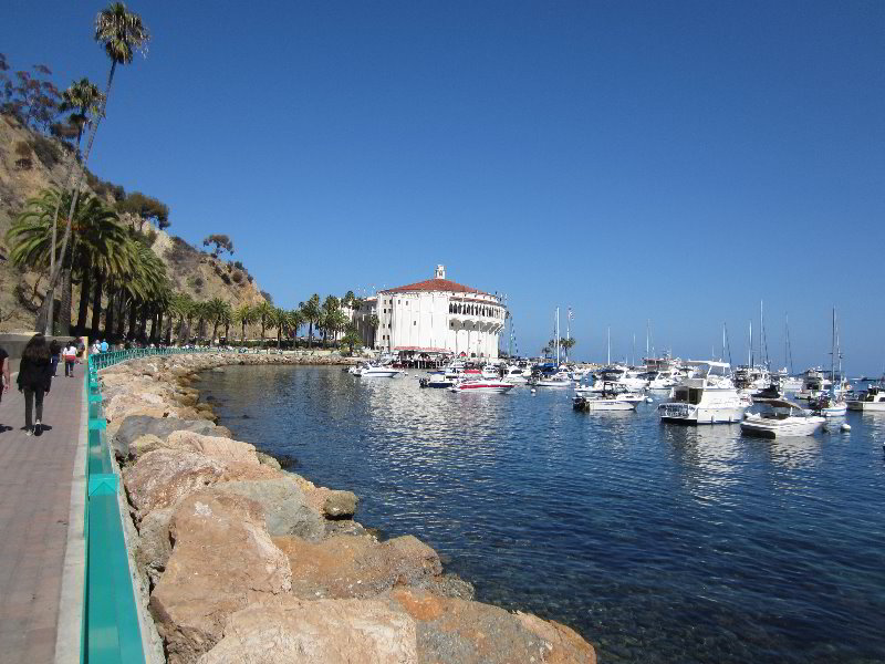 Casino-Point-Snorkeling-Avalon-Catalina-Island-CA-013