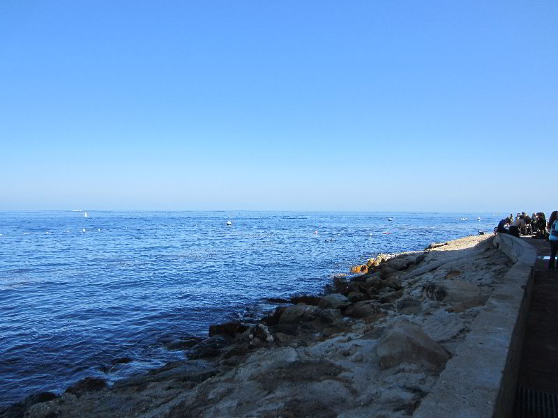 Casino-Point-Snorkeling-Avalon-Catalina-Island-CA-014