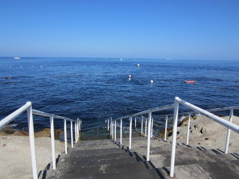 Casino-Point-Snorkeling-Avalon-Catalina-Island-CA-016