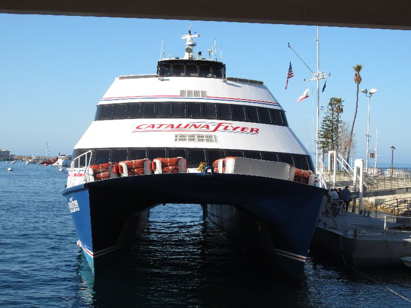 Casino-Point-Snorkeling-Avalon-Catalina-Island-CA-060