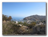 Casino-Point-Snorkeling-Avalon-Catalina-Island-CA-004