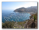 Casino-Point-Snorkeling-Avalon-Catalina-Island-CA-005