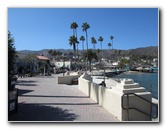 Casino-Point-Snorkeling-Avalon-Catalina-Island-CA-007