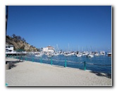 Casino-Point-Snorkeling-Avalon-Catalina-Island-CA-009