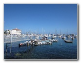 Casino-Point-Snorkeling-Avalon-Catalina-Island-CA-010