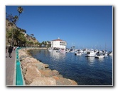 Casino-Point-Snorkeling-Avalon-Catalina-Island-CA-013