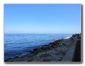 Casino-Point-Snorkeling-Avalon-Catalina-Island-CA-014