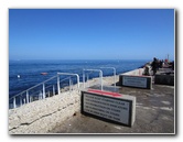 Casino-Point-Snorkeling-Avalon-Catalina-Island-CA-015