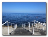 Casino-Point-Snorkeling-Avalon-Catalina-Island-CA-016