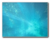 Casino-Point-Snorkeling-Avalon-Catalina-Island-CA-023