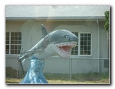 Cedar-Key-Levy-County-FL-008