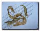 Cedar-Key-Levy-County-FL-024