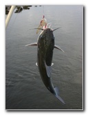 Cedar-Key-Levy-County-FL-030