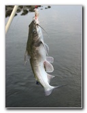 Cedar-Key-Levy-County-FL-031