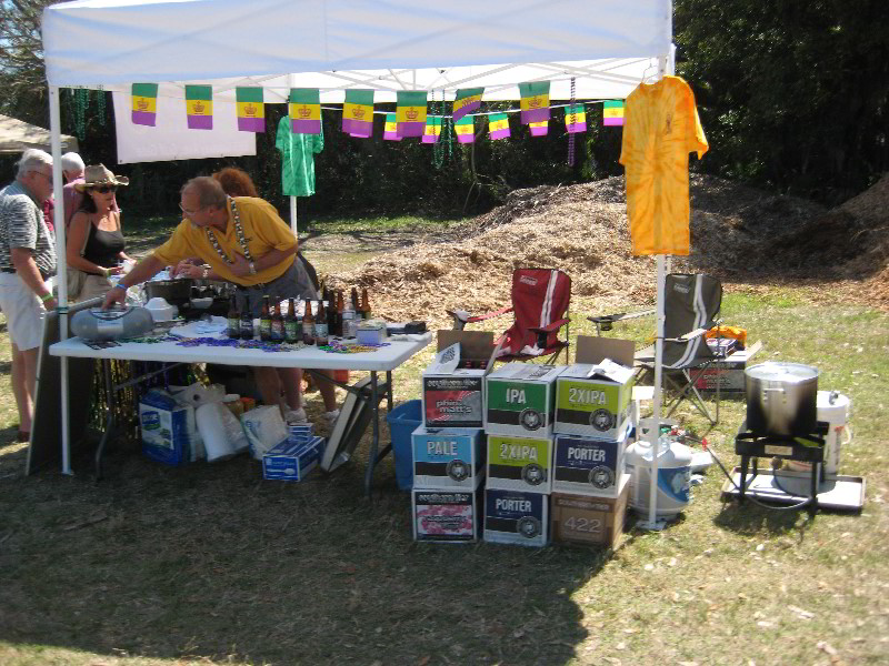 Celebrate-Sarasota-Beer-Chili-Wings-Music-Phillippi-Estate-Park-013