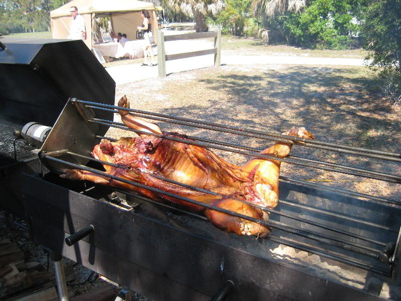 Celebrate-Sarasota-Beer-Chili-Wings-Music-Phillippi-Estate-Park-018