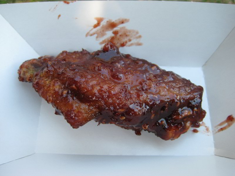 Celebrate-Sarasota-Beer-Chili-Wings-Music-Phillippi-Estate-Park-023