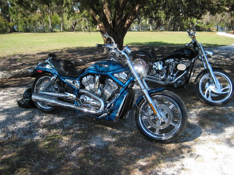 Celebrate-Sarasota-Beer-Chili-Wings-Music-Phillippi-Estate-Park-027