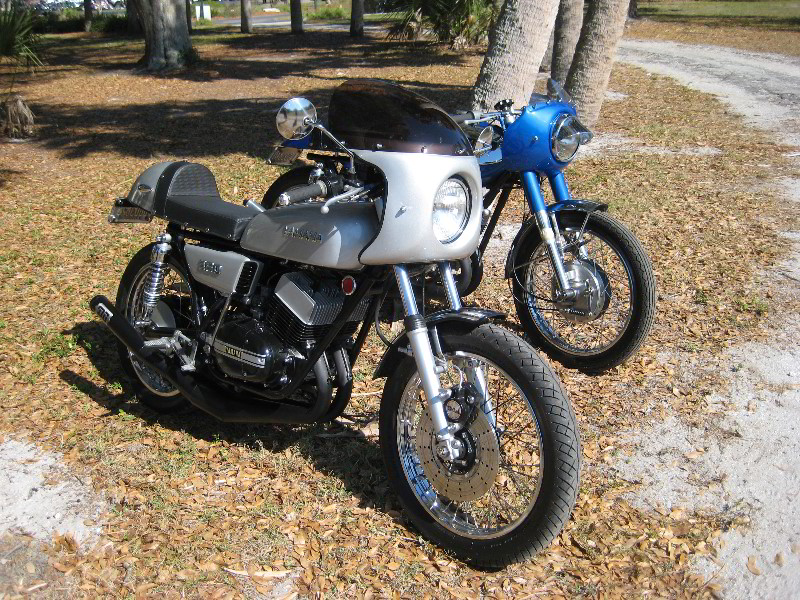 Celebrate-Sarasota-Beer-Chili-Wings-Music-Phillippi-Estate-Park-030