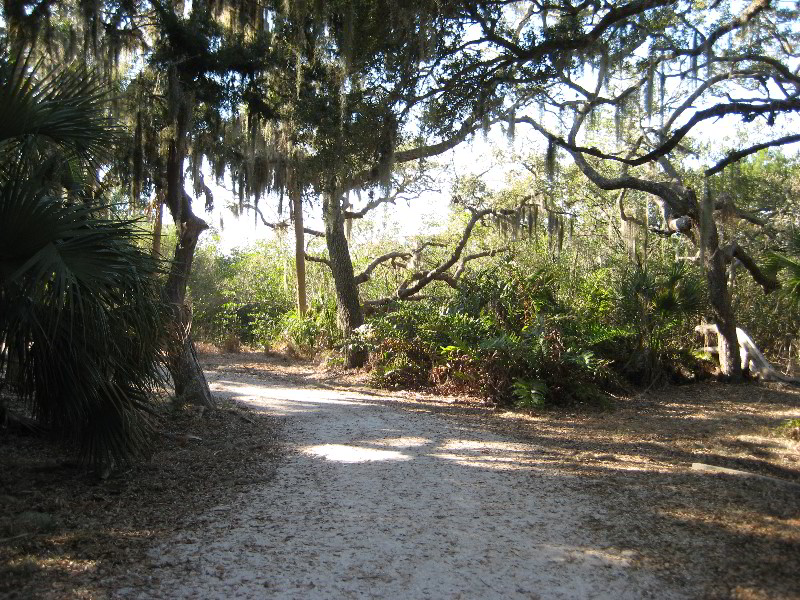 Celebrate-Sarasota-Beer-Chili-Wings-Music-Phillippi-Estate-Park-038