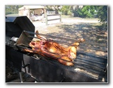 Celebrate-Sarasota-Beer-Chili-Wings-Music-Phillippi-Estate-Park-018