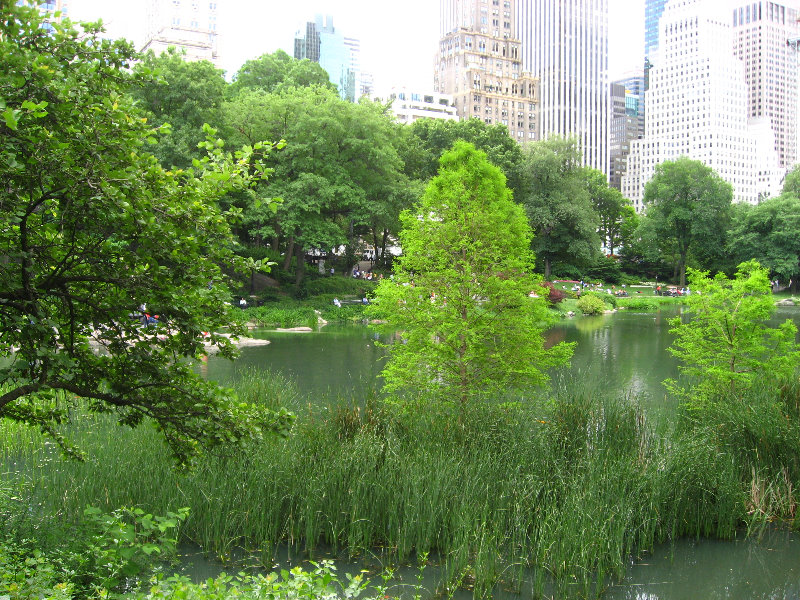 Central-Park-Manhattan-New-York-City-NY-010