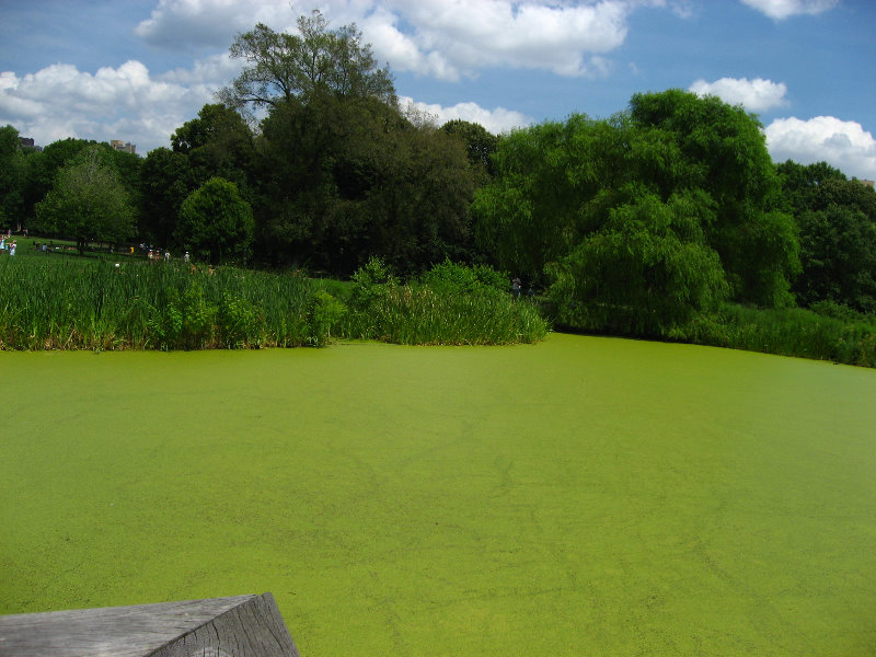 Central-Park-Manhattan-New-York-City-NY-039