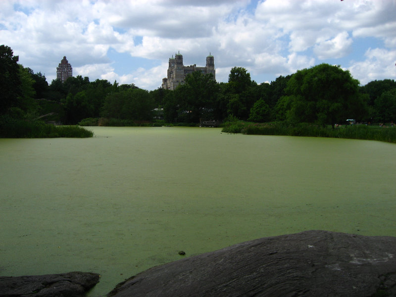 Central-Park-Manhattan-New-York-City-NY-042