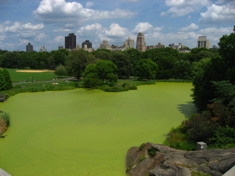 Central-Park-Manhattan-New-York-City-NY-045