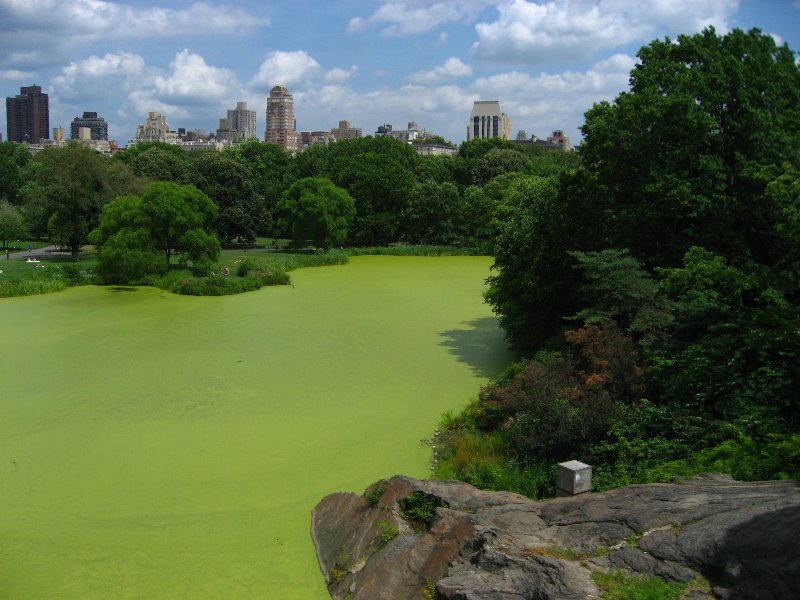 Central-Park-Manhattan-New-York-City-NY-046