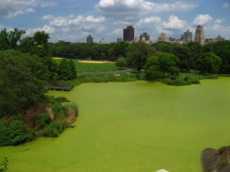 Central-Park-Manhattan-New-York-City-NY-047
