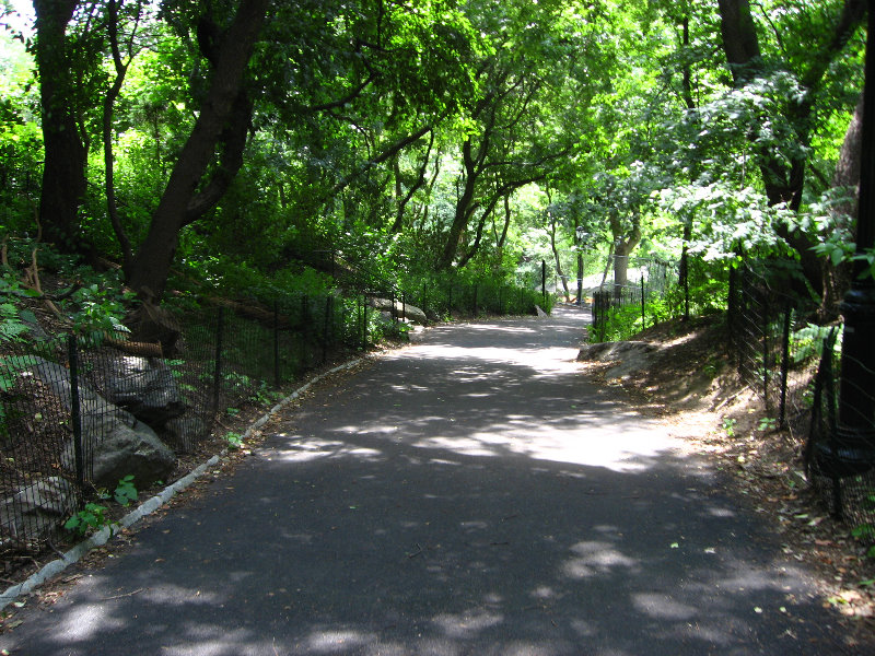 Central-Park-Manhattan-New-York-City-NY-052