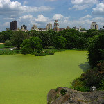 Central Park - New York City, NY