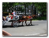 Central-Park-Manhattan-New-York-City-NY-006