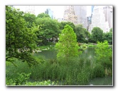 Central-Park-Manhattan-New-York-City-NY-010