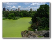 Central-Park-Manhattan-New-York-City-NY-046