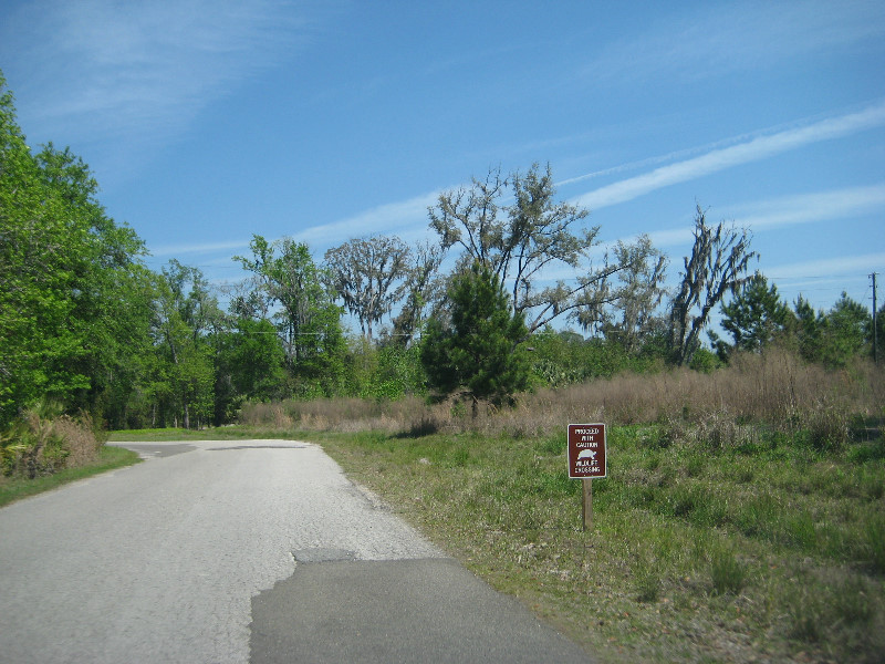 Chacala-Trail-Paynes-Prairie-Preserve-State-Park-Micanopy-FL-003