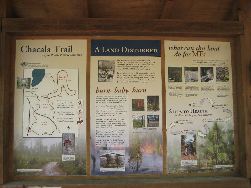 Chacala-Trail-Paynes-Prairie-Preserve-State-Park-Micanopy-FL-007