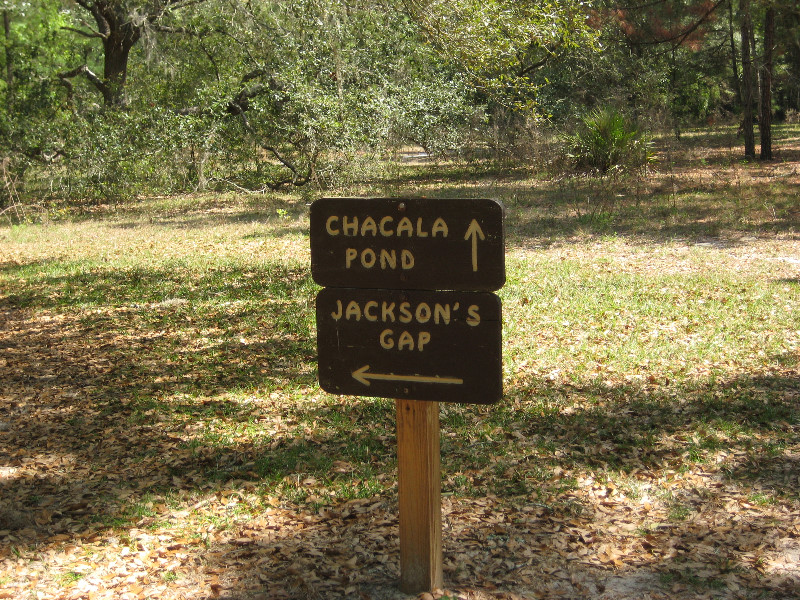 Chacala-Trail-Paynes-Prairie-Preserve-State-Park-Micanopy-FL-008