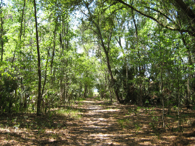 Chacala-Trail-Paynes-Prairie-Preserve-State-Park-Micanopy-FL-032