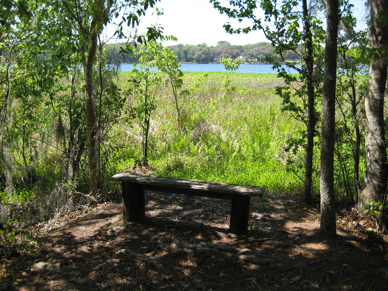 Chacala-Trail-Paynes-Prairie-Preserve-State-Park-Micanopy-FL-034