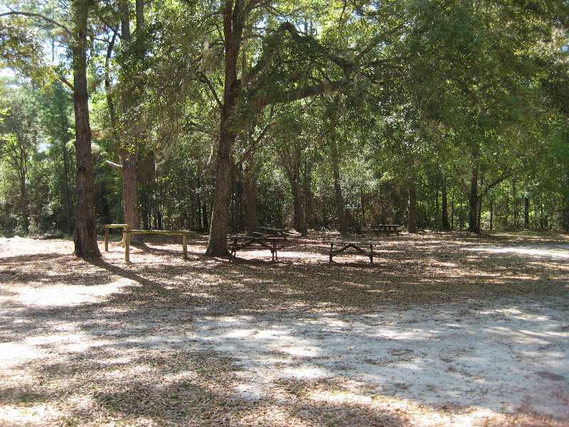 Chacala-Trail-Paynes-Prairie-Preserve-State-Park-Micanopy-FL-041