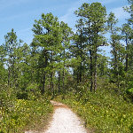 Chacala Trail - Paynes Prairie Park