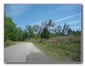 Chacala-Trail-Paynes-Prairie-Preserve-State-Park-Micanopy-FL-003