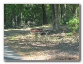 Chacala-Trail-Paynes-Prairie-Preserve-State-Park-Micanopy-FL-005