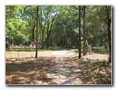 Chacala-Trail-Paynes-Prairie-Preserve-State-Park-Micanopy-FL-009