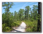 Chacala-Trail-Paynes-Prairie-Preserve-State-Park-Micanopy-FL-015