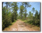 Chacala-Trail-Paynes-Prairie-Preserve-State-Park-Micanopy-FL-021