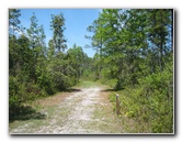 Chacala-Trail-Paynes-Prairie-Preserve-State-Park-Micanopy-FL-023