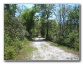 Chacala-Trail-Paynes-Prairie-Preserve-State-Park-Micanopy-FL-024